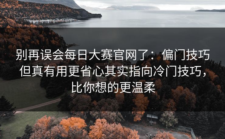 别再误会每日大赛官网了：偏门技巧但真有用更省心其实指向冷门技巧，比你想的更温柔